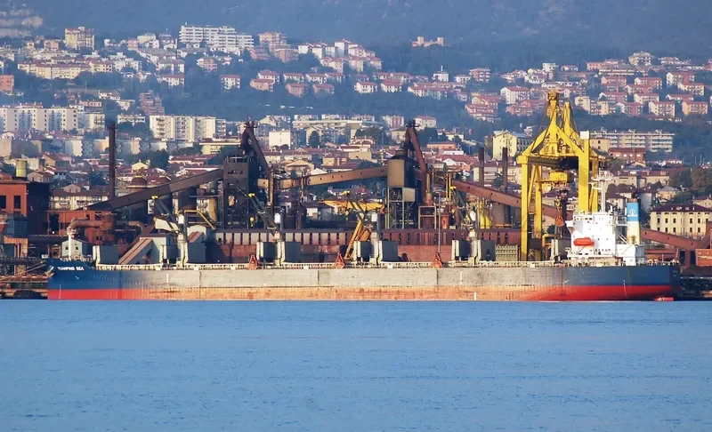 YUANPING SEA Bulk Carrier IMO 9282390 photo 10
