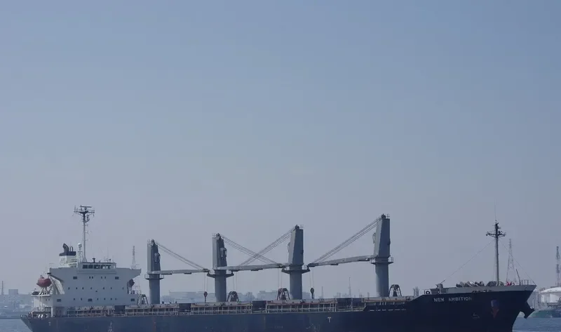PELAGIANI Bulk Carrier IMO 9282613 photo 3