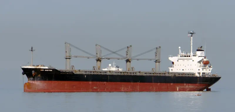 PELAGIANI Bulk Carrier IMO 9282613 photo 8