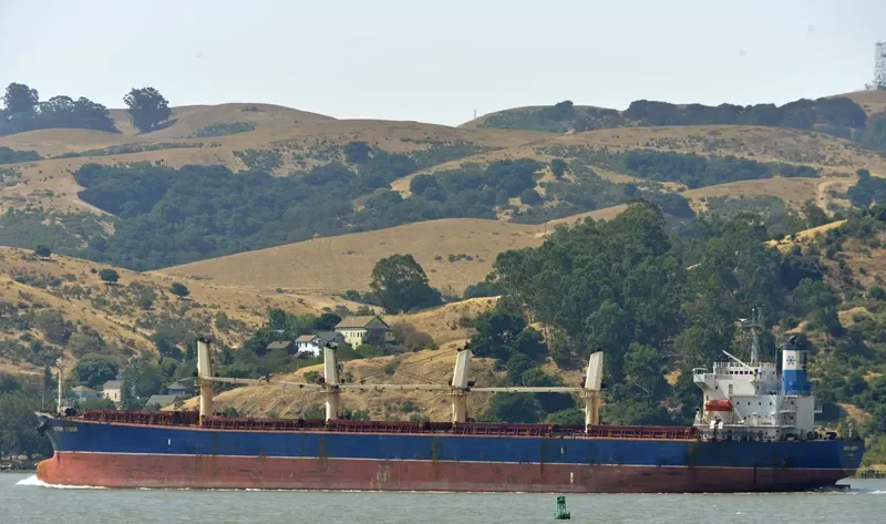 OKTEM AKSOY Bulk Carrier IMO 9282742 photo 2