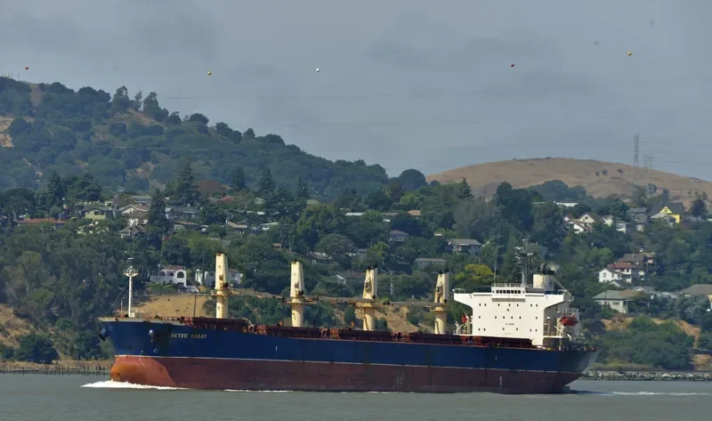 OKTEM AKSOY Bulk Carrier IMO 9282742 photo 3