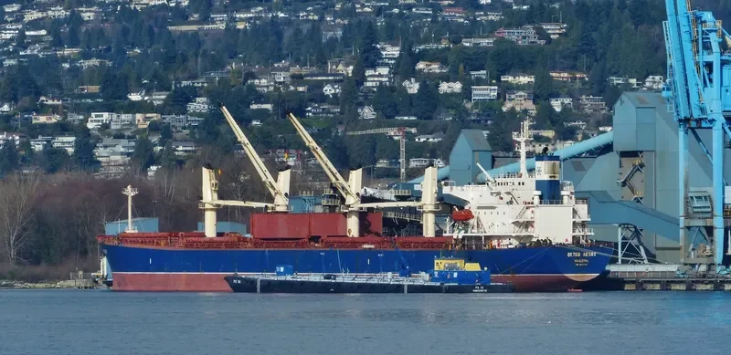 OKTEM AKSOY Bulk Carrier IMO 9282742 photo 5