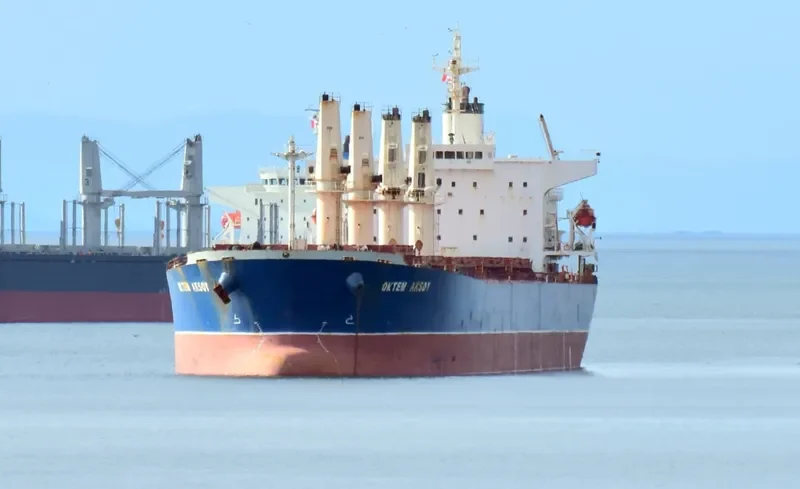 OKTEM AKSOY Bulk Carrier IMO 9282742 photo 8