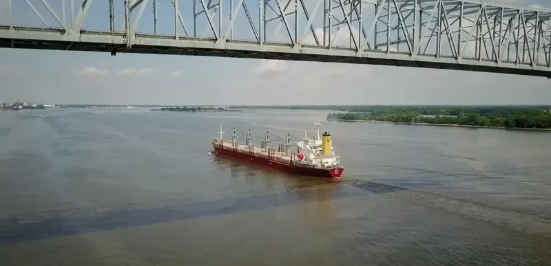 TAN BINH 256 Bulk Carrier IMO 9282778