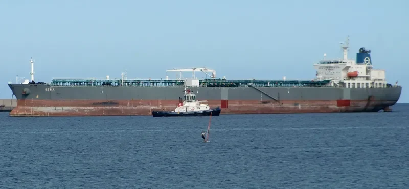 TAN BINH 256 Bulk Carrier IMO 9282778 photo 7