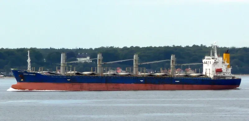 TAN BINH 256 Bulk Carrier IMO 9282778 photo 9