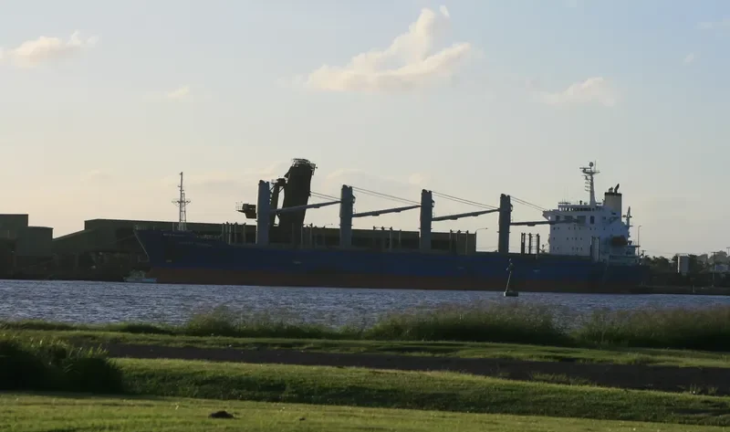 TAN BINH 256 Bulk Carrier IMO 9282778 photo 10