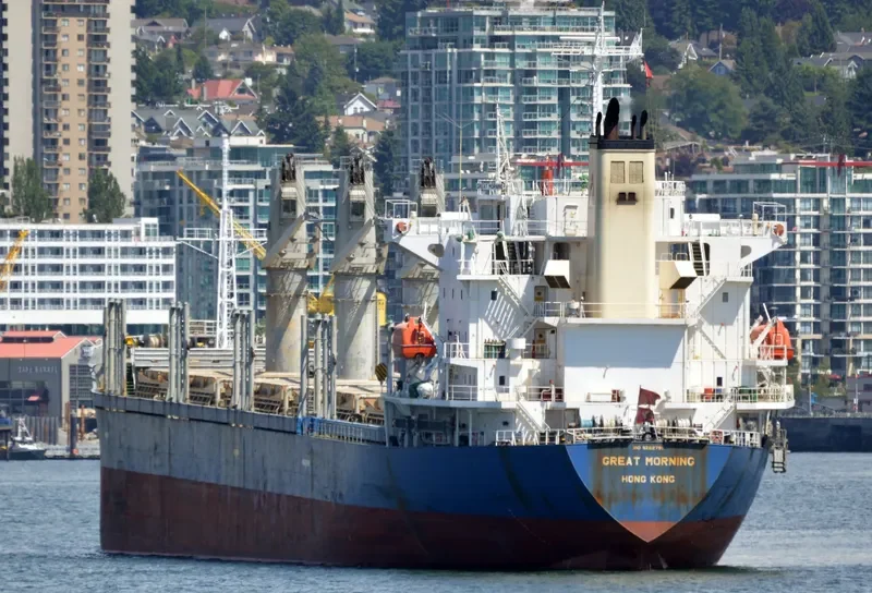 TEAM CHALLENGE Bulk Carrier IMO 9282780 photo 2