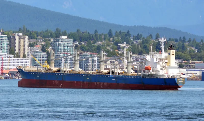 TEAM CHALLENGE Bulk Carrier IMO 9282780 photo 3