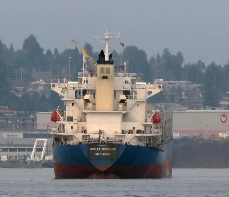 TEAM CHALLENGE Bulk Carrier IMO 9282780 photo 5