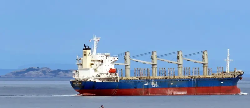 TEAM CHALLENGE Bulk Carrier IMO 9282780 photo 6