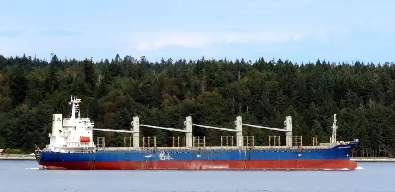 TEAM CHALLENGE Bulk Carrier IMO 9282780 photo 7