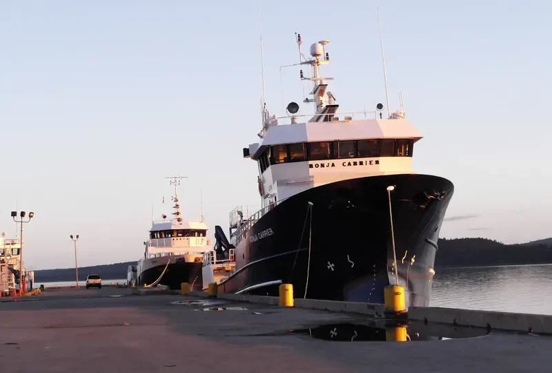 RONJA CARRIER General Cargo IMO 9282845 photo 6