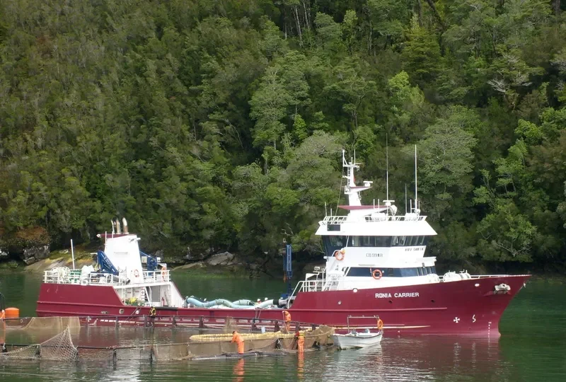 RONJA CARRIER General Cargo IMO 9282845 photo 7