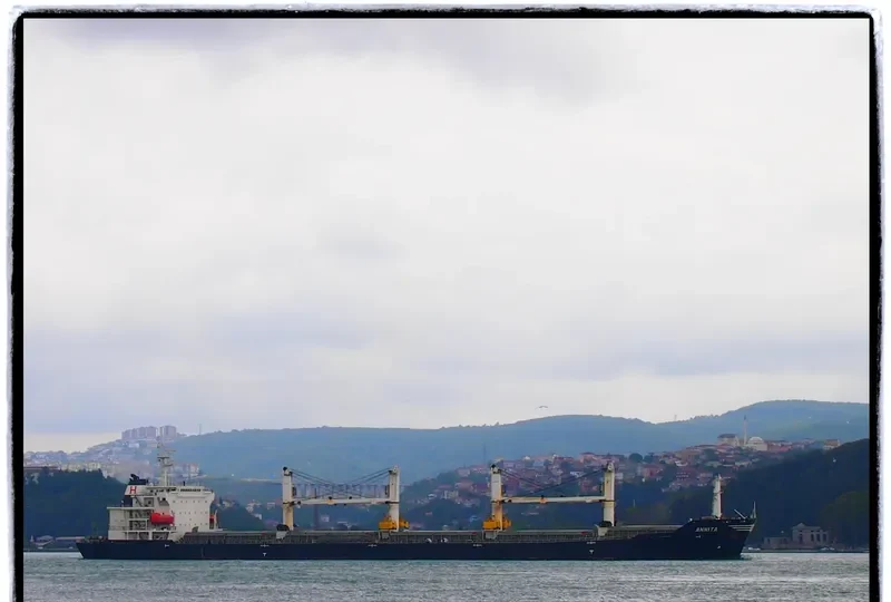 ANNITA Bulk Carrier IMO 9282869