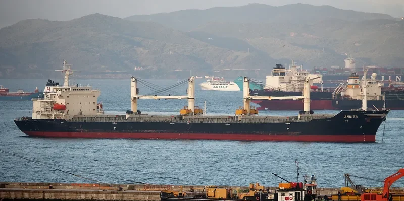 ANNITA Bulk Carrier IMO 9282869 photo 3