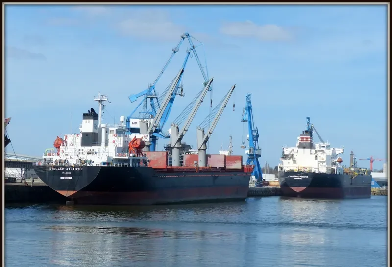 STELLAR ATLANTIC Bulk Carrier IMO 9282948 photo 2