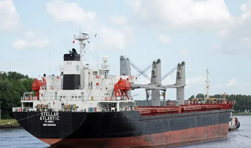STELLAR ATLANTIC Bulk Carrier IMO 9282948 photo 9