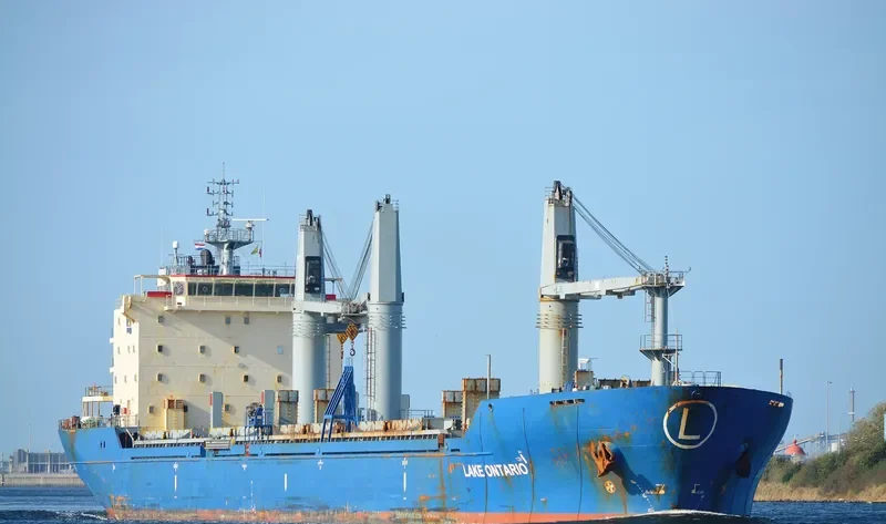 LAKE ONTARIO Bulk Carrier IMO 9283538 photo 742
