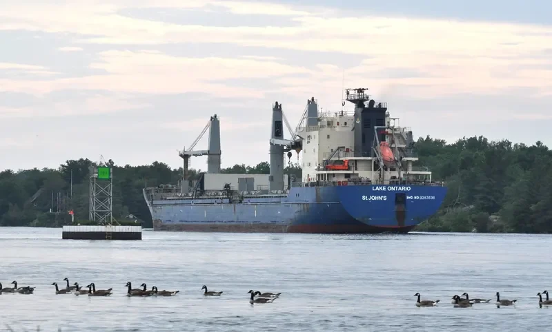 LAKE ONTARIO Bulk Carrier IMO 9283538 photo 824