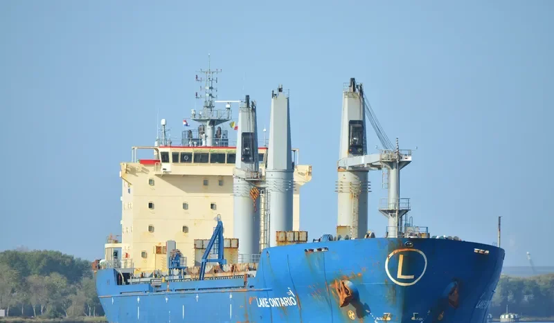 LAKE ONTARIO Bulk Carrier IMO 9283538 photo 1247