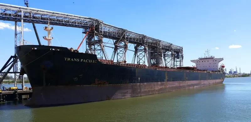 STRATTON Bulk Carrier IMO 9283643 photo 3