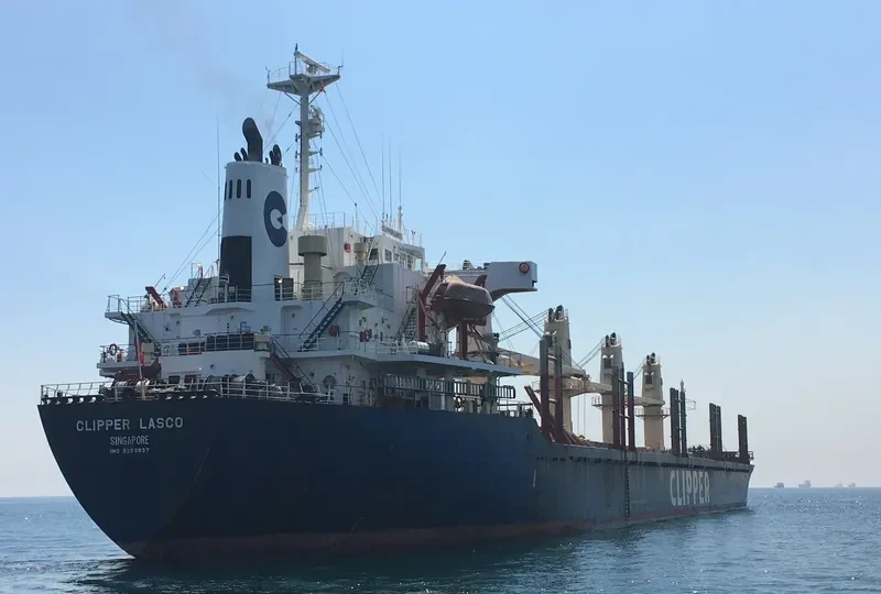 TAN BINH 245 Bulk Carrier IMO 9283837 photo 4