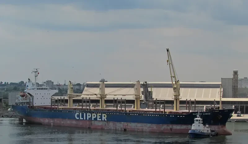 TAN BINH 245 Bulk Carrier IMO 9283837 photo 6