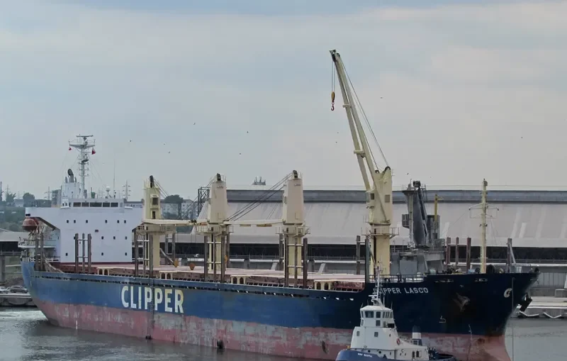 TAN BINH 245 Bulk Carrier IMO 9283837 photo 7