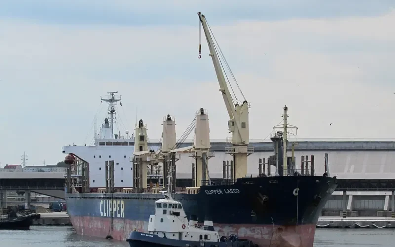 TAN BINH 245 Bulk Carrier IMO 9283837 photo 8