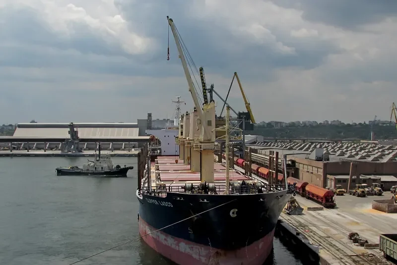 TAN BINH 245 Bulk Carrier IMO 9283837 photo 9