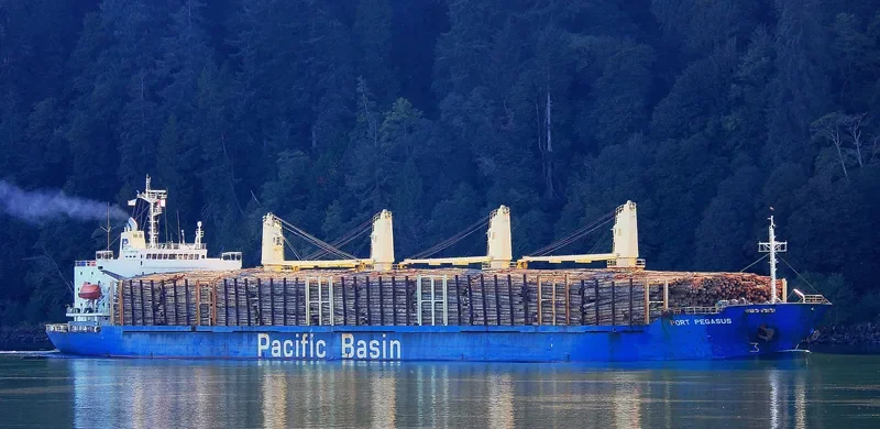 PORT PEGASUS Bulk Carrier IMO 9284001