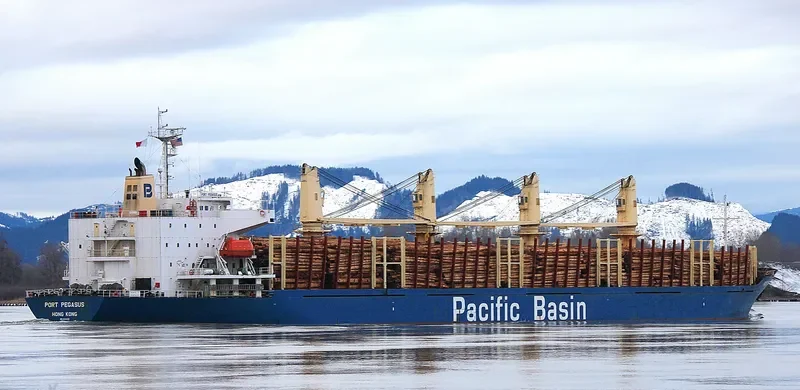 PORT PEGASUS Bulk Carrier IMO 9284001 photo 2