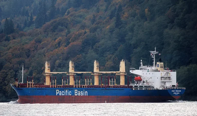 PORT PEGASUS Bulk Carrier IMO 9284001 photo 3