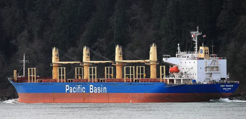 PORT PEGASUS Bulk Carrier IMO 9284001 photo 5