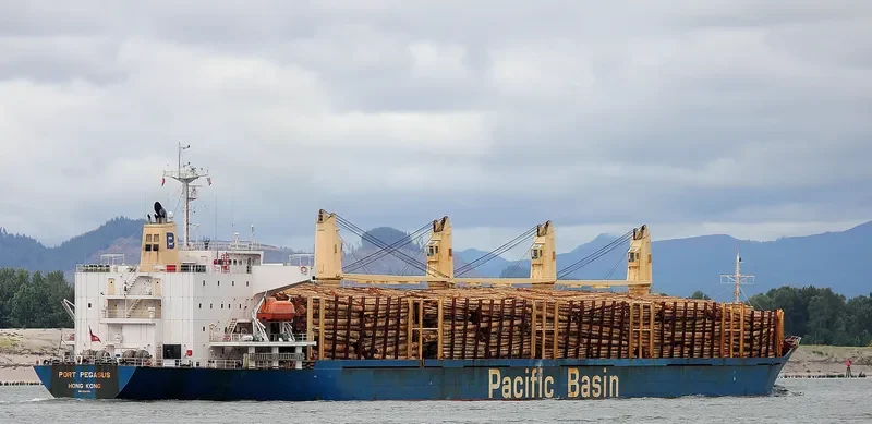 PORT PEGASUS Bulk Carrier IMO 9284001 photo 10