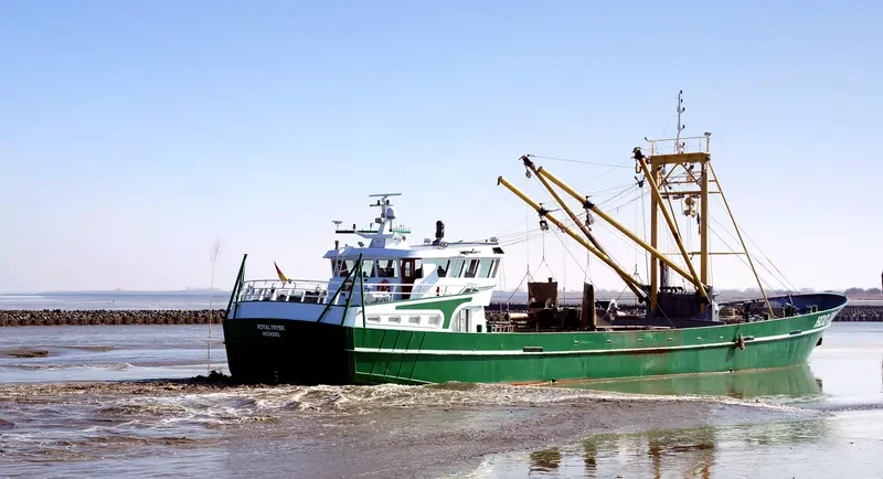 ROYAL FRYSK General Cargo IMO 9284099 photo 3