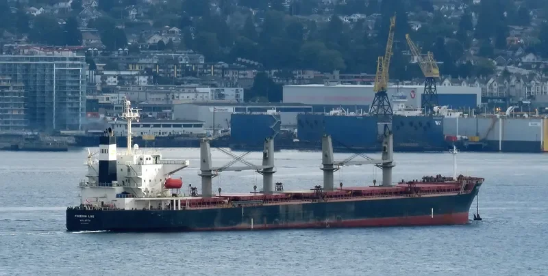 FREEDOM LINE Bulk Carrier IMO 9284245 photo 6