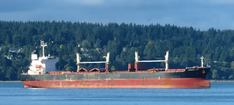FREEDOM LINE Bulk Carrier IMO 9284245 photo 8