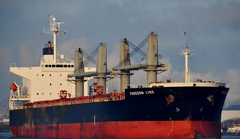 FREEDOM LINE Bulk Carrier IMO 9284245 photo 10