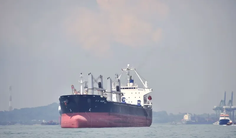 ZHONG HAI HANG 11 Bulk Carrier IMO 9284348 photo 9
