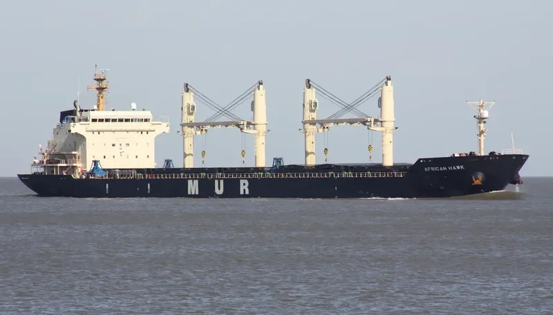 AFRICAN HAWK Bulk Carrier IMO 9284362