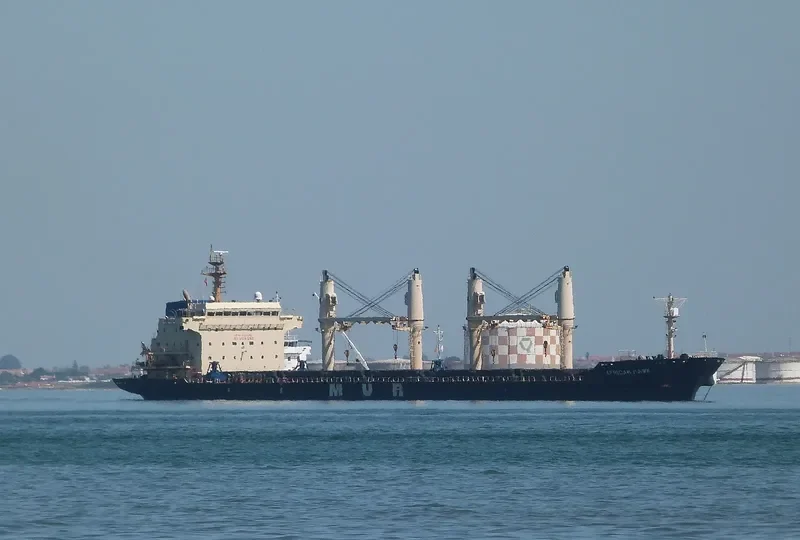 AFRICAN HAWK Bulk Carrier IMO 9284362 photo 2