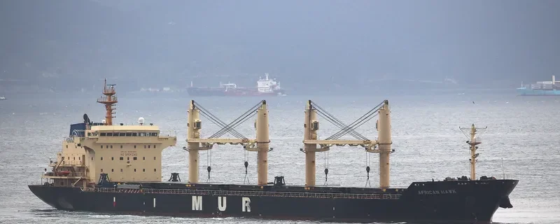 AFRICAN HAWK Bulk Carrier IMO 9284362 photo 5