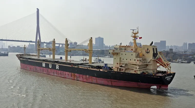 AFRICAN HAWK Bulk Carrier IMO 9284362 photo 9