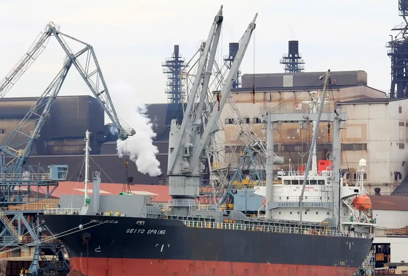 SEIYO SPRING General Cargo IMO 9284398