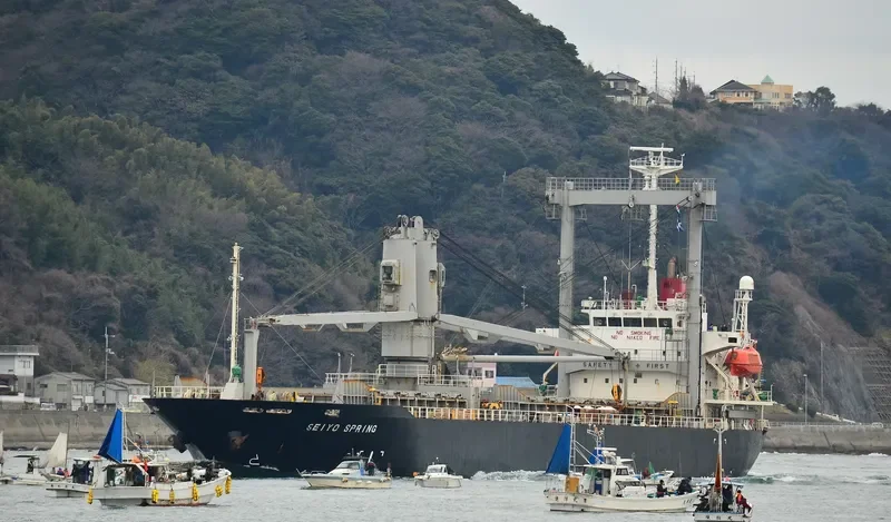 SEIYO SPRING General Cargo IMO 9284398 photo 6