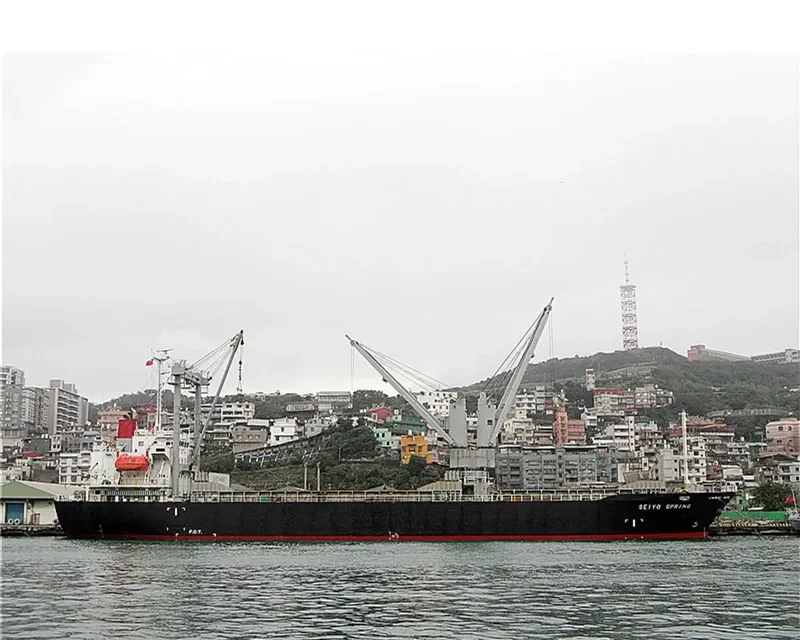 SEIYO SPRING General Cargo IMO 9284398 photo 8