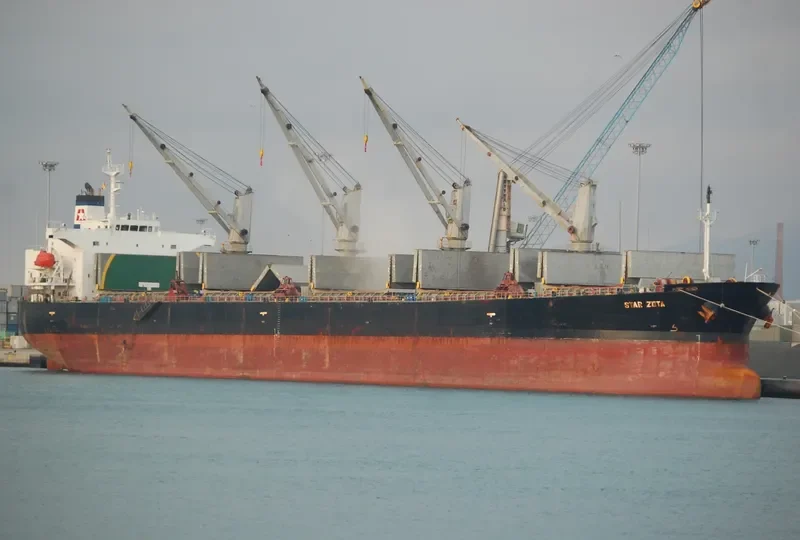 STAR ZETA Bulk Carrier IMO 9284477 photo 3