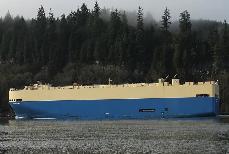 GRAND PAVO Ro-Ro IMO 9284776 photo 8